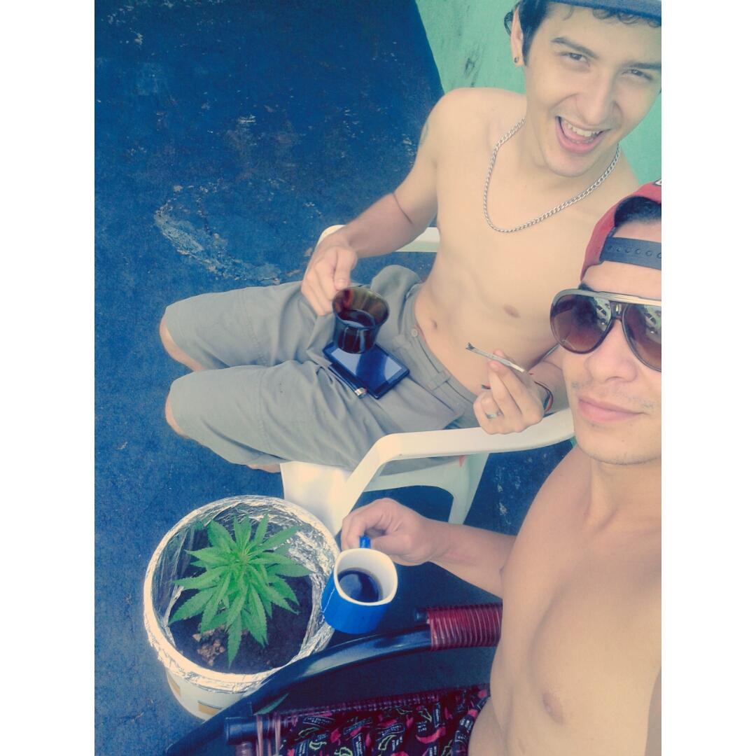 Phaeelhard's tweet photo. #cannabis #sativa #legalizejá #verycrazy #morzin #weed @otaldoxinxila 🍁😗💨. http://t.co/gm0MUwI5Jq