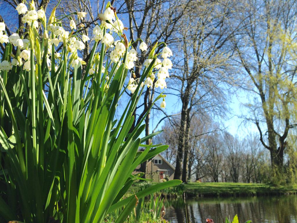 Bron: Mooi Heiloo