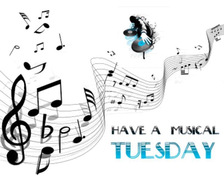 KangarooAudio's tweet image. 