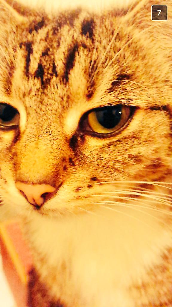 Gerald_Walters's tweet photo. When your masterbating and hear footsteps... http://t.co/GjFdEGiB5h