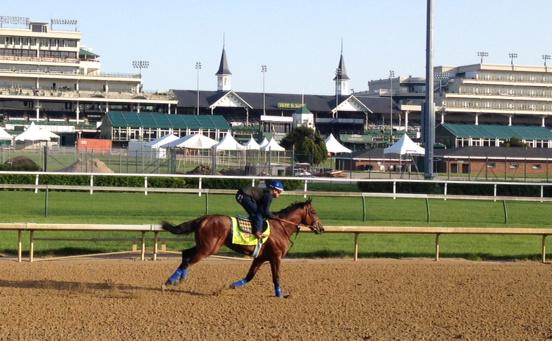 TracksideJennie's tweet photo. American Pharoah training @ChurchillDowns for #KyDerby. @DerbyContenders @jazz3162 @JustinZayat @ZayatStables http://t.co/hQK45QK4q1