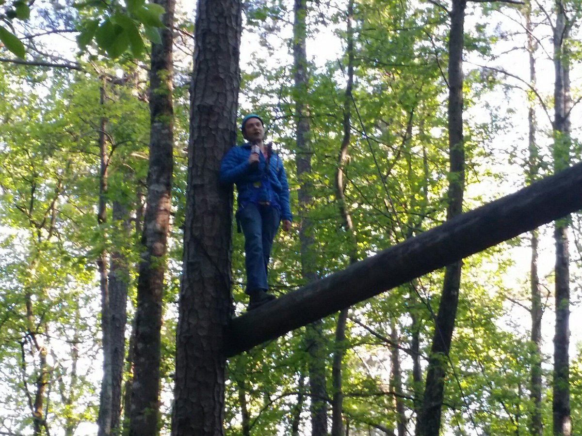 PaulFromFox5's tweet photo. About to walk the plank for my @girlscoutsatl cookies! @GoodDayAtlanta #fox5atl http://t.co/Wz6qSMCPjy