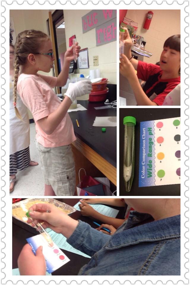 FoxSci14's tweet photo. Water quality testing from Back Cree, James R and the@graftonms retention pond! What's really in it? #ycsd15 @YCSD http://t.co/poqQPYZ27E