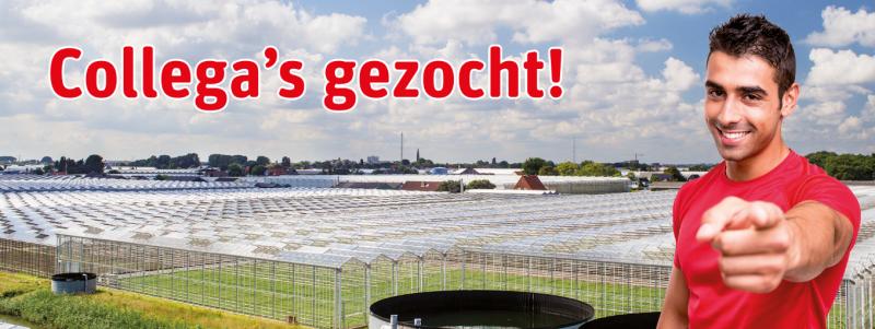 RoyalBrinkman's tweet photo. Wij zijn op zoek naar een Junior Marketeer. Organisatietalent? Creatief? Flexibel? Mail ons! http://t.co/5x4hb16XOn http://t.co/SuEBaYHe4f