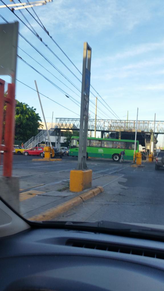 Feli Nuño tweet media