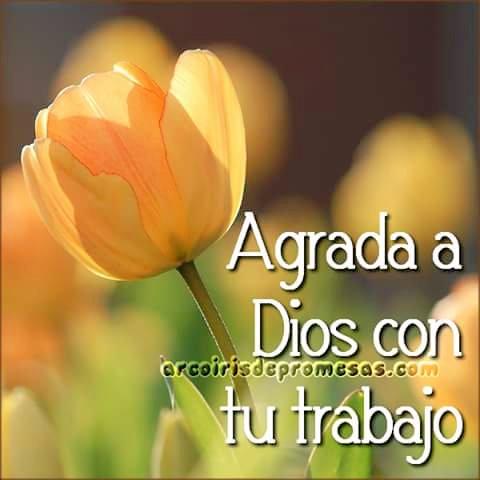 globalclean1's tweet photo. Todo lo que hagamos,que sea como para Dios. http://t.co/JdB77pMuUJ