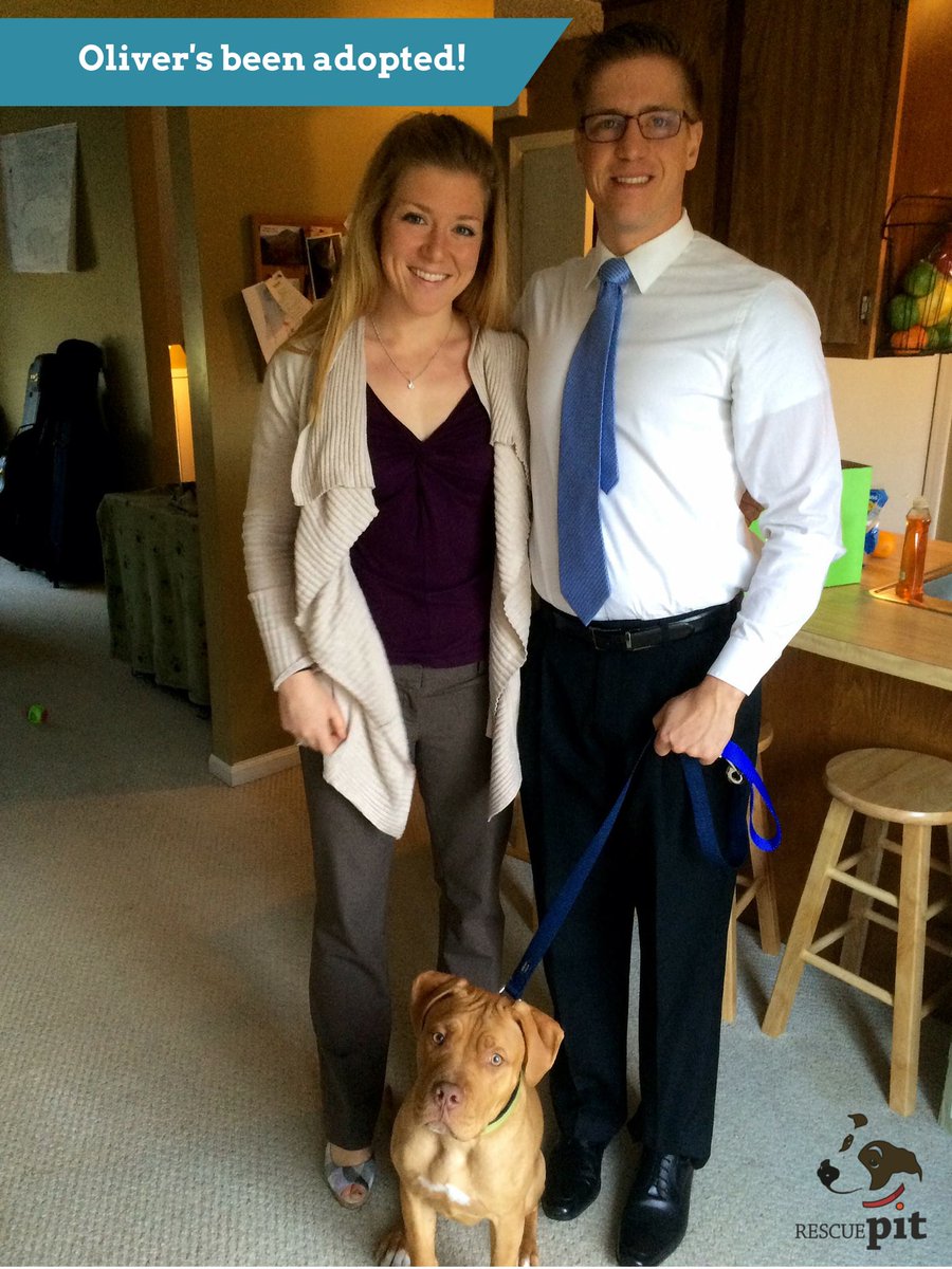 rescuepitinc's tweet photo. We've hit our biggest milestone yet last week! Our first adoption! http://t.co/kumT2ZWGYc