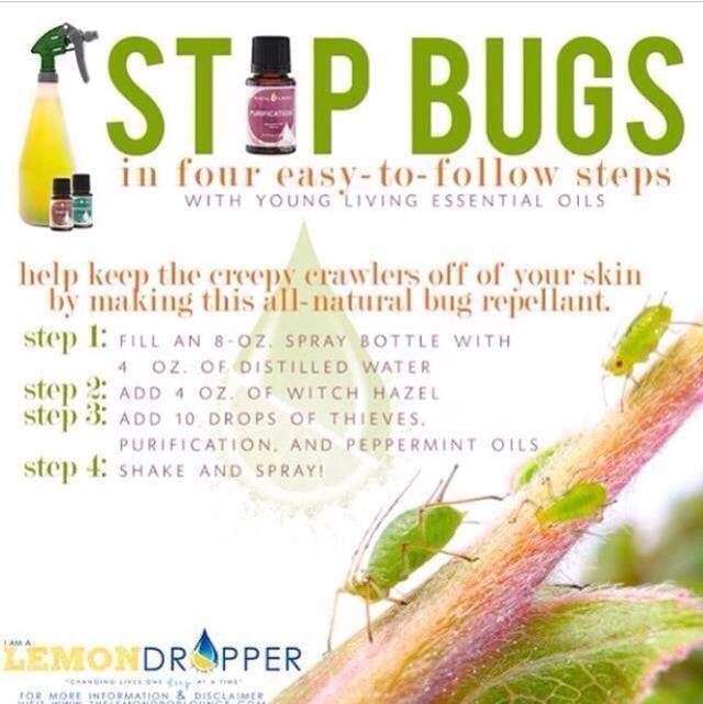 My friend Christina hooked up my #essentialoils party because she loves them! Here's the bug spray recipe she uses!