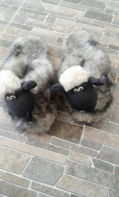 Arkhalfani's tweet image. #brtr