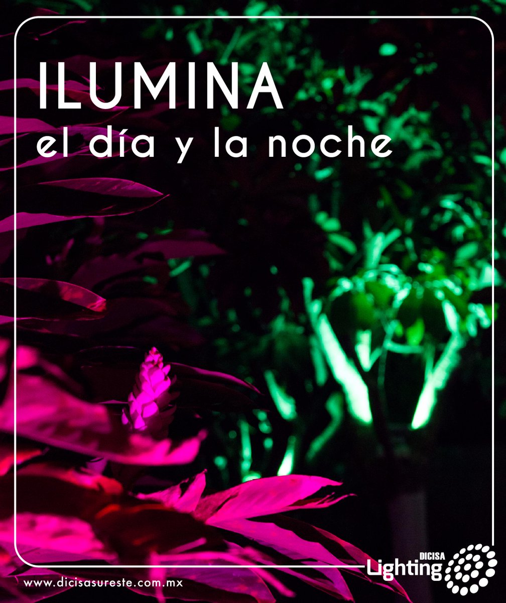 DicisaLighting's tweet photo. #Luz, #Vida y #Color para el día de hoy !
#Martes #AIL2015 #Abril2015 #Mérida #Yucatán http://t.co/nKzwiLnOyi