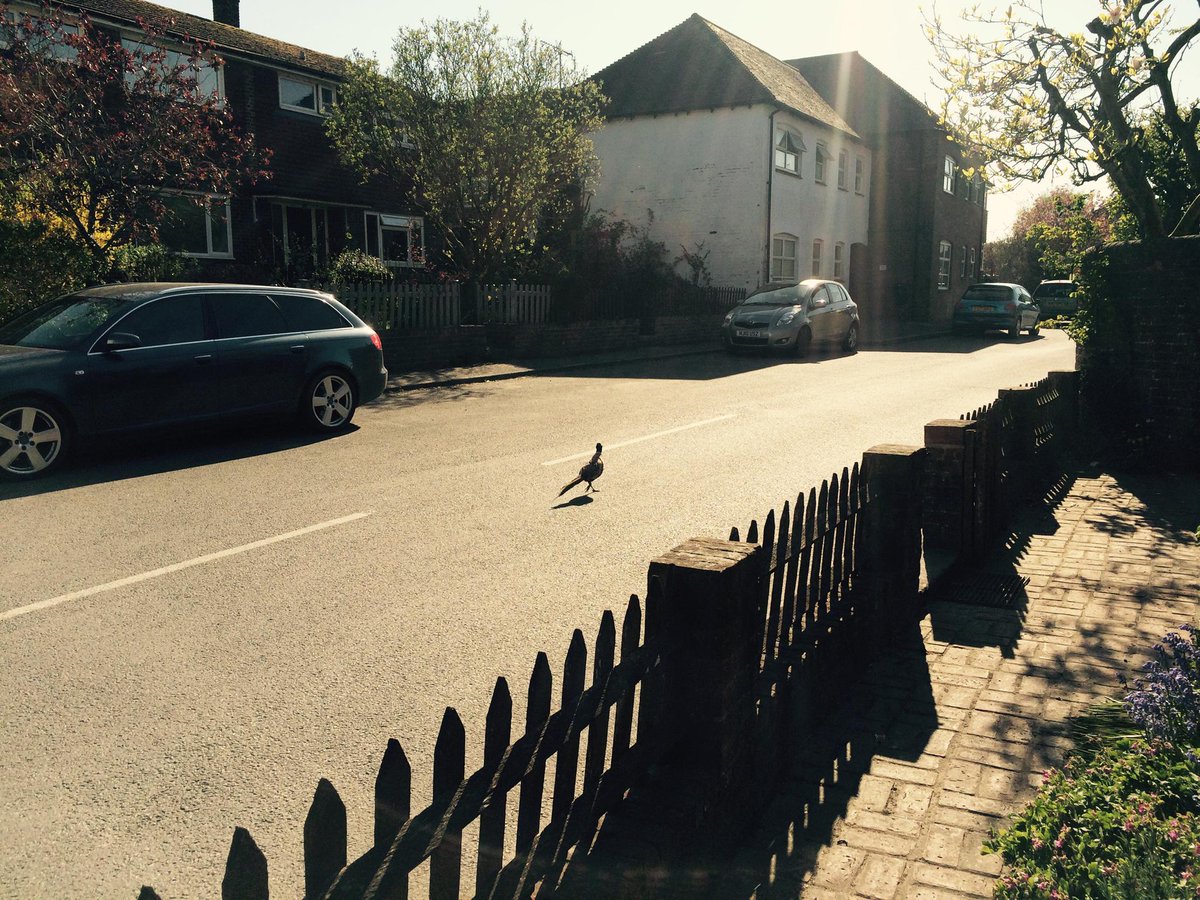 andrewdel's tweet photo. Busy day in #eastmeon #rushhour http://t.co/PoaIEKxVUT
