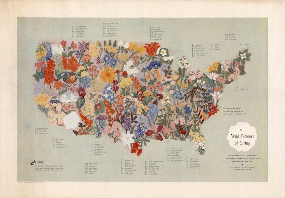 NGA_GEOINT's tweet photo. Is your state more blue flax or fringed linanthus? #FunWithMapsFriday via @slate » http://t.co/AXNvrNrEax http://t.co/Kb182pzsLI