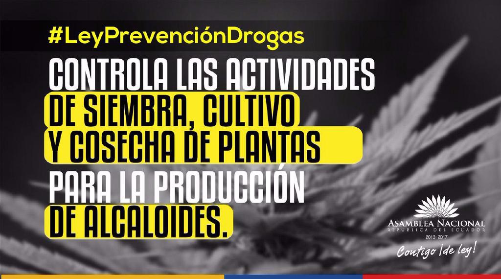 ABA_EC's tweet photo. #InformateEcuador || → #LeyPrevencionDrogas http://t.co/xeYwiqZn18 #Ecuador @AsambleaEcuador @GabrielaEsPais @marialevicuna
