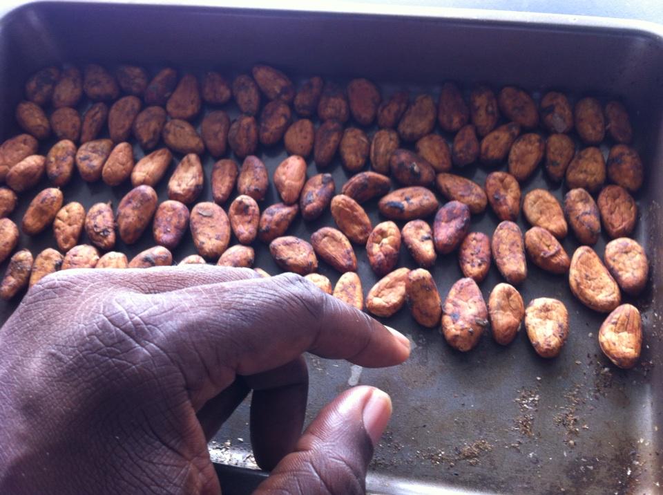 I've really become a bean counter #cocoa #chocolate #homemade #organic #jamaica