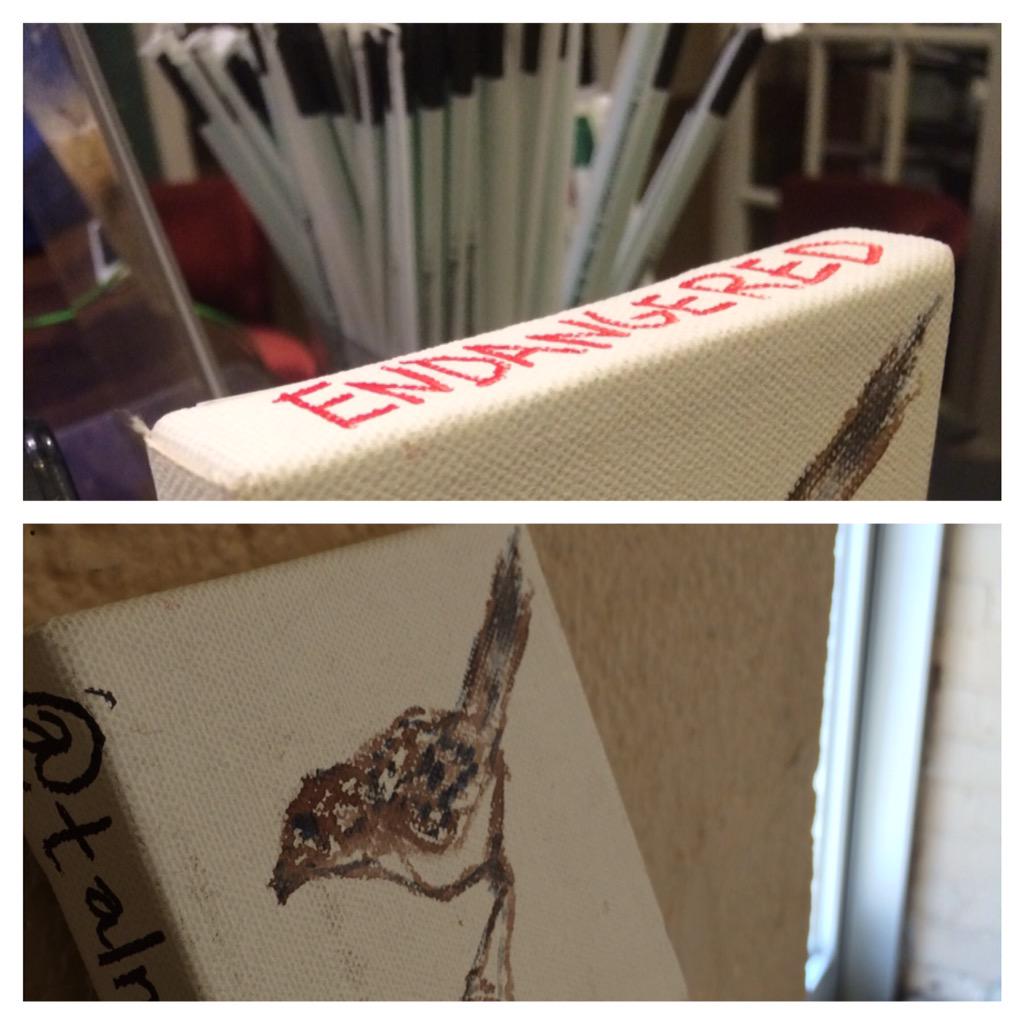 NolanDionne's tweet photo. @talmar0 Vesper Sparrow met me at the Starbucks where I work; left her in a coffee shop in Hamden, CT. #artengaged http://t.co/9el1kVeacl