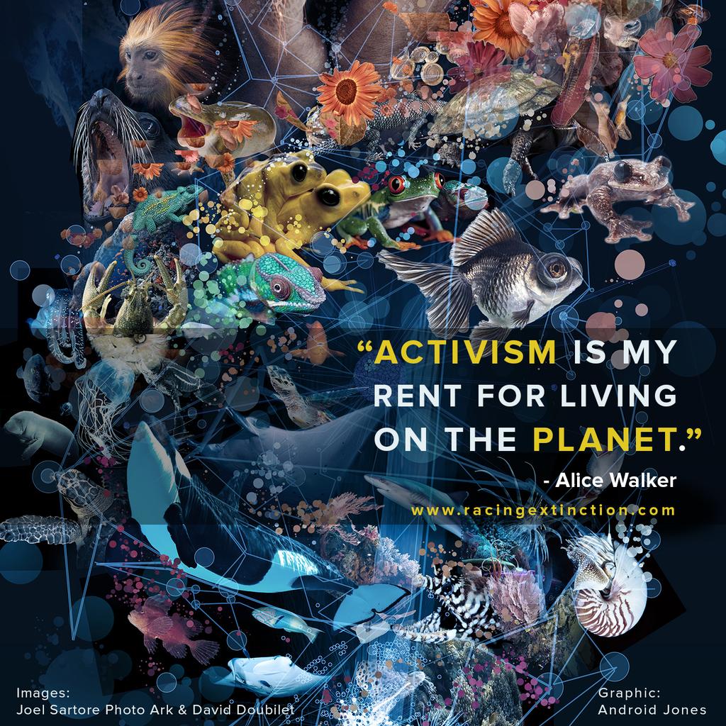 OP_Society's tweet photo. Activism Is My Rent For Living On The Planet

Make a difference. Start here: http://t.co/BkcMVWAtZa @Extinction_OPS http://t.co/JaJWl0RSLu