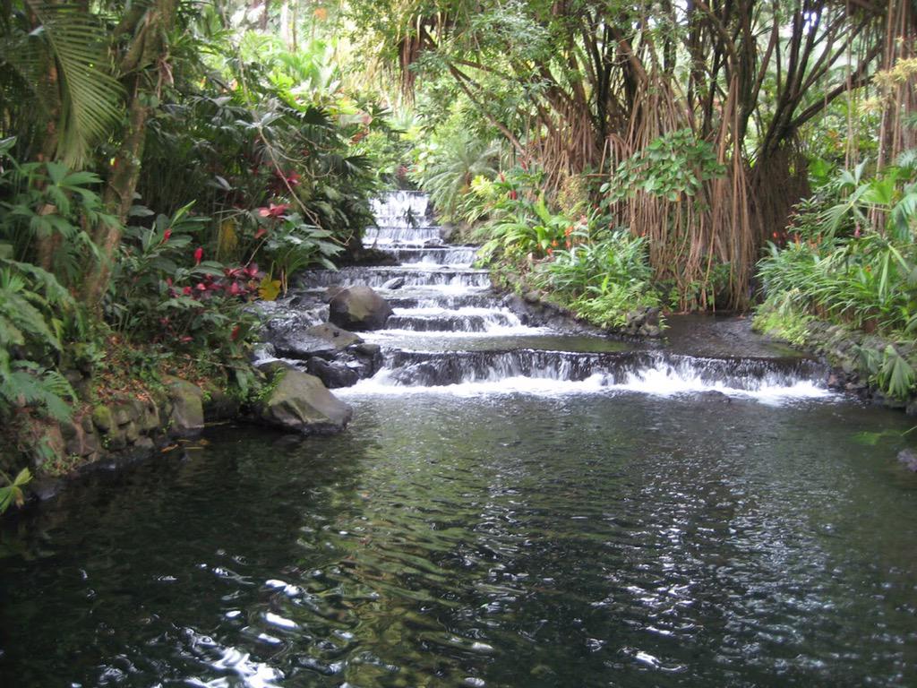 BookStayGo's tweet photo. Tranquility on a #Tuesday! #RoomKey #BookStayGo #travel #travelmore #TravelTuesday #CostaRica #peace #hotsprings http://t.co/c6IsleolfU