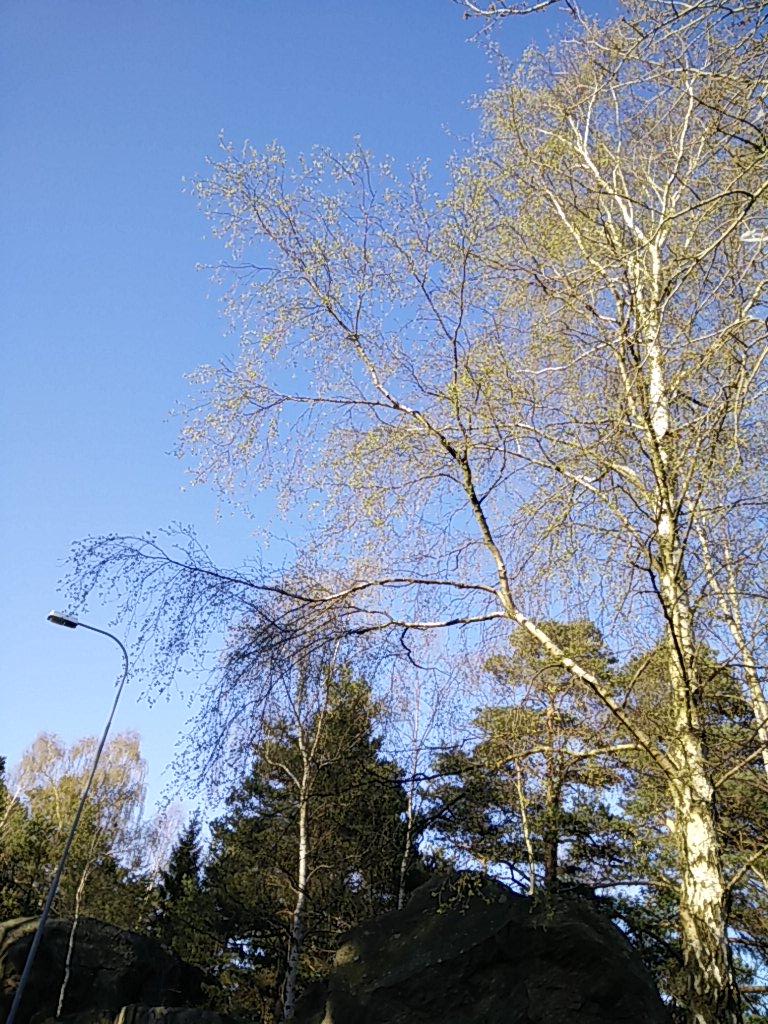modelmisspolli's tweet photo. Spring! http://t.co/WKU1MYPYjx