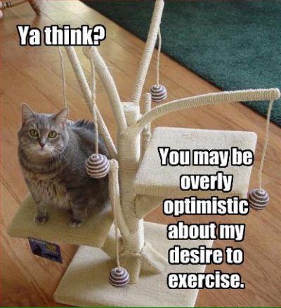 Petcaptions's tweet image. 