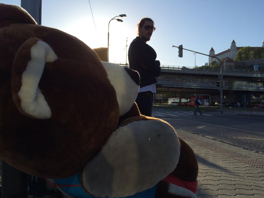 hereandbear's tweet photo. Waiting for the bus to #budapest. As always, Apollo's just laying around. #lazybear #goodbyebratislava #hellobudapest http://t.co/FbCPpYBXge
