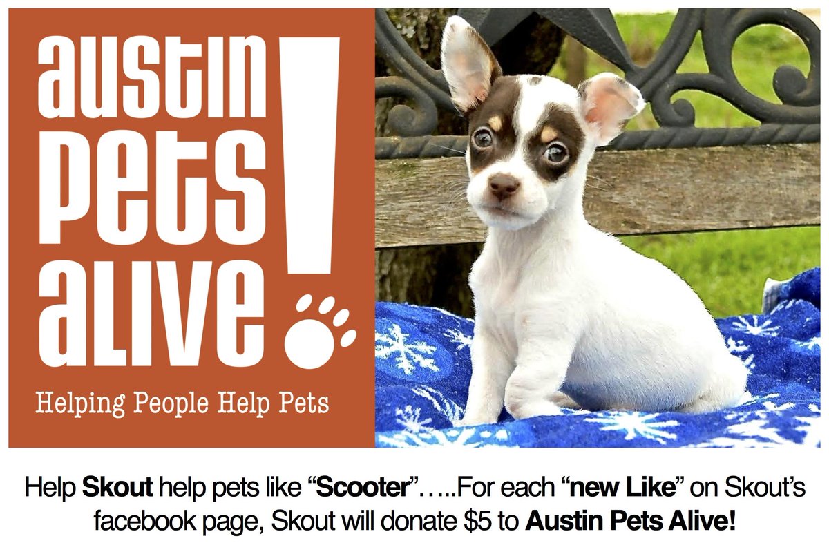 SkoutAustin's tweet photo. .@austinpetsalive #SkoutforSnouts raised $1800 in first 24hrs. #KeepItGoing LIKE our FB page http://t.co/STtiXmHJhK http://t.co/caPRJ9saZ2