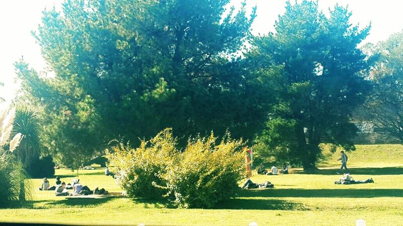 eice_economicas's tweet photo. #Campus #DiaDeSol #Martes #GanasDe #MatesEnElPasto http://t.co/qhuhjTSBMJ