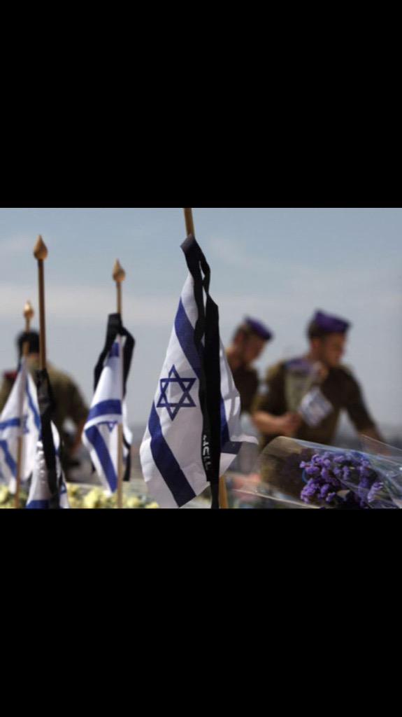 טל אדרי tweet media