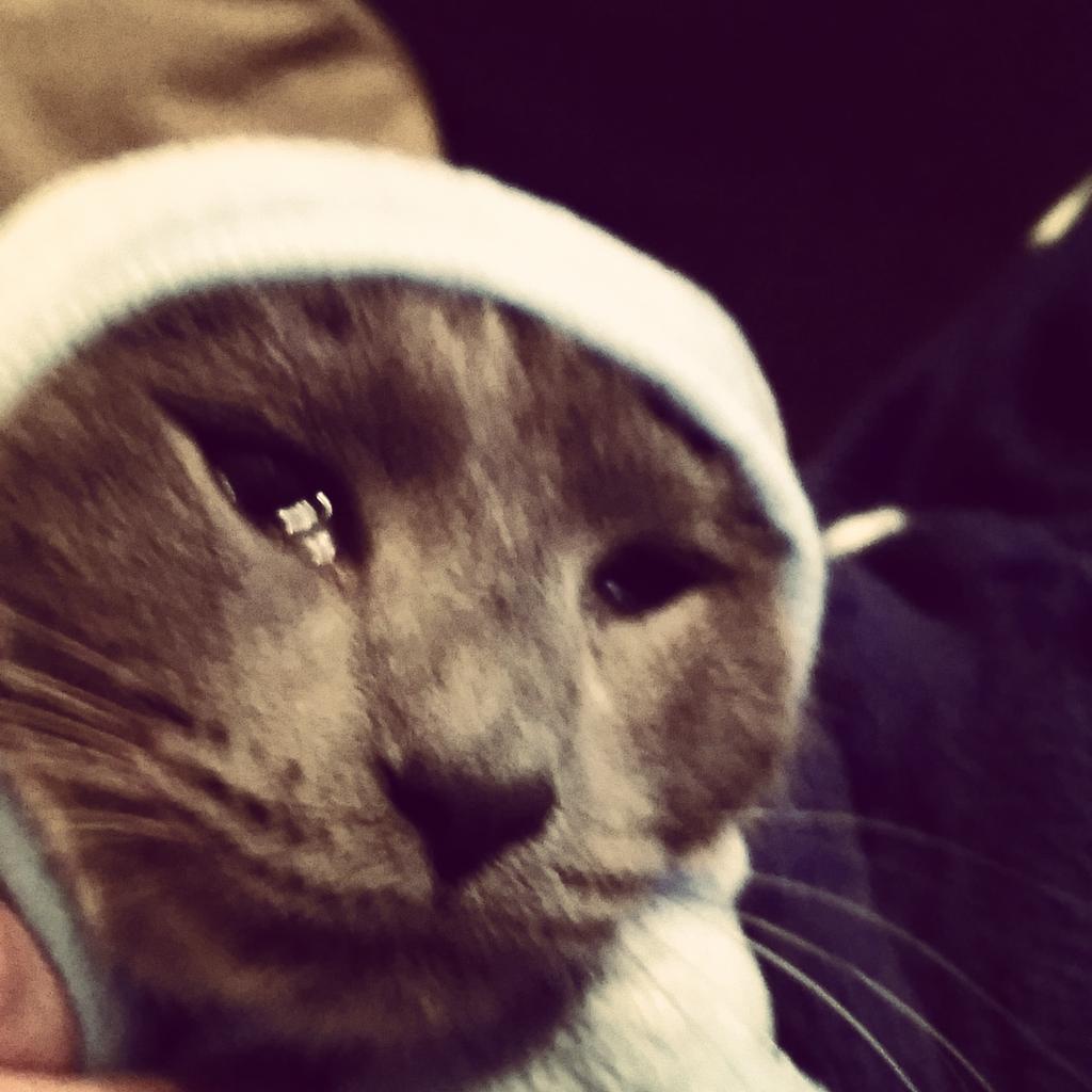 natashaj24's tweet photo. #UPSpets http://t.co/z3KTDwhi20