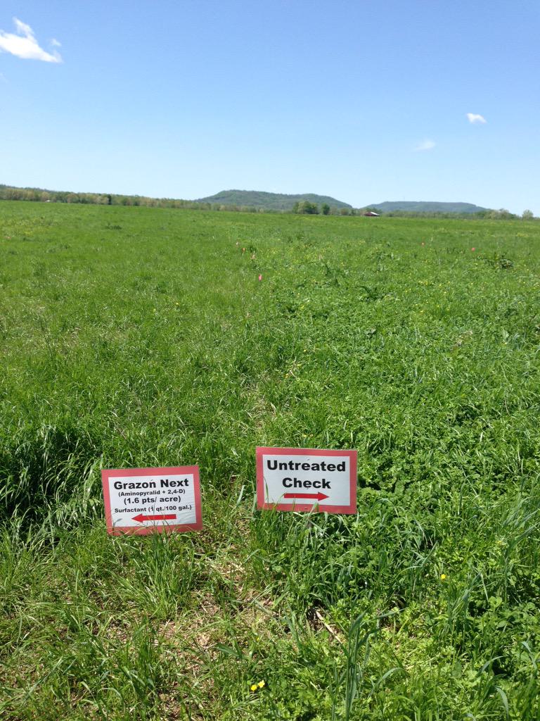 UTExt_DeKalbCo's tweet photo. Dr Neil Rhodes talking herbicides &amp; pasture weed mgt. Mid Tn Hay Forage Day. Smithville. @utextension @utkplsc http://t.co/l0cd51lGL9
