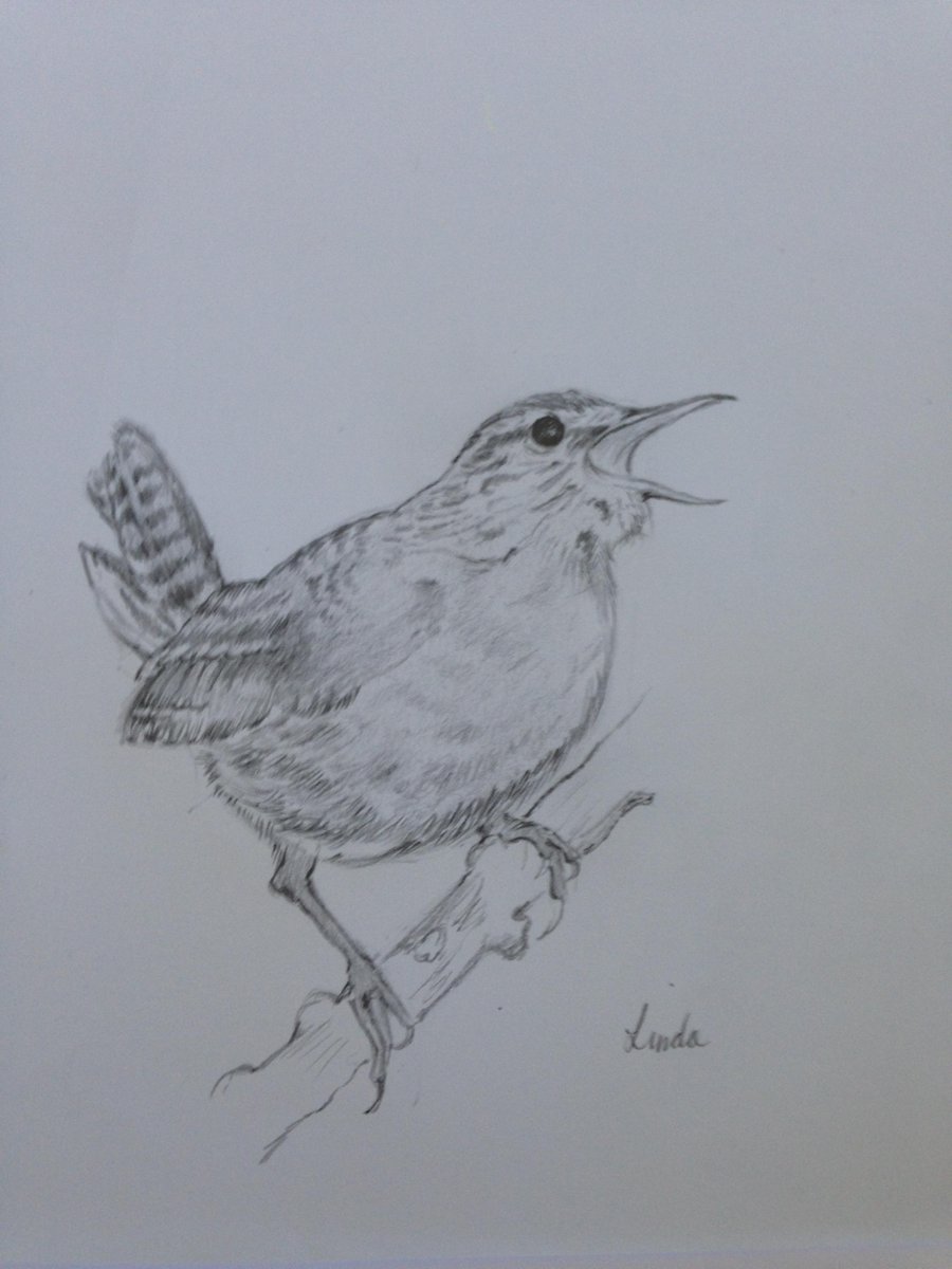 EdwynFilm's tweet image. Thanks all who joined! Check these beautiful birds in our gallery thepossibilities.co.uk/campaign/galle… #ThePossibilities #Aphasia