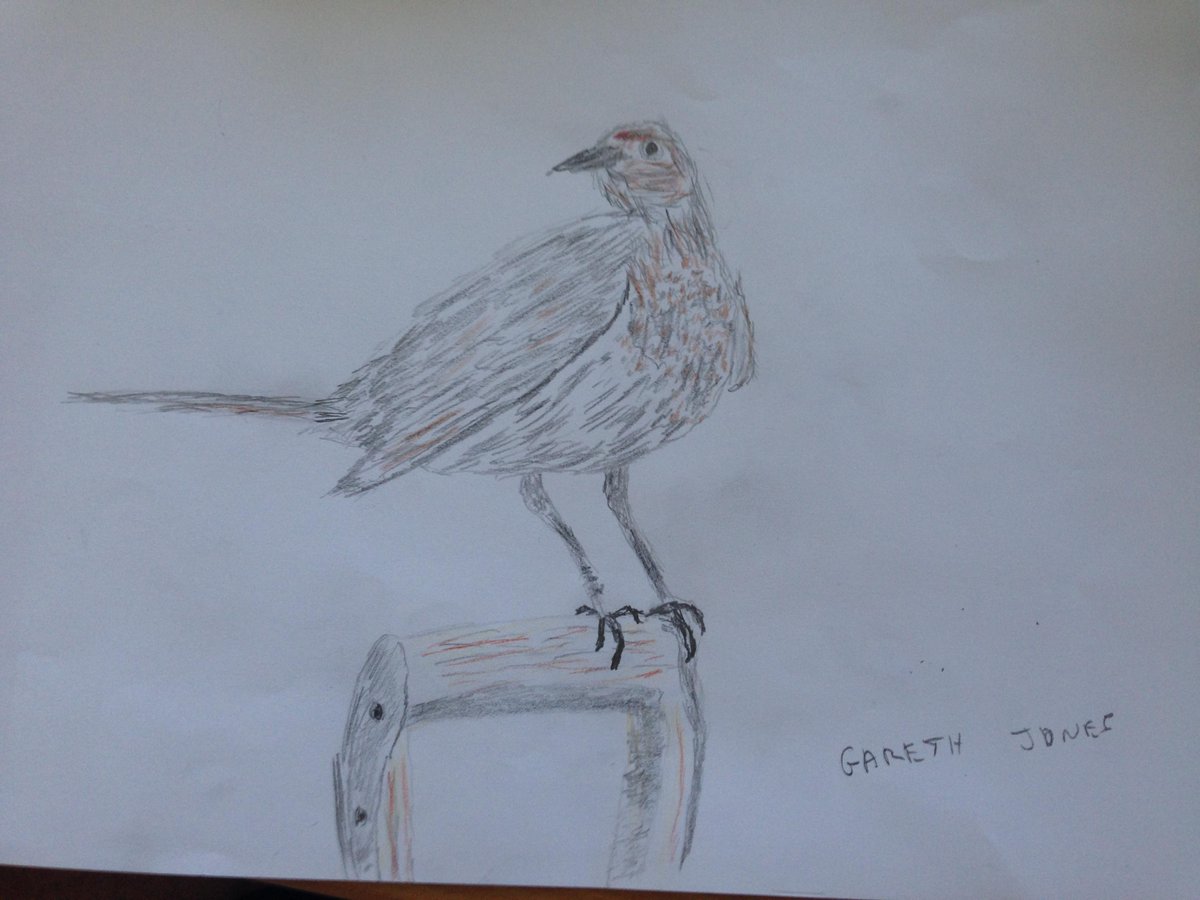 EdwynFilm's tweet image. Thanks all who joined! Check these beautiful birds in our gallery thepossibilities.co.uk/campaign/galle… #ThePossibilities #Aphasia