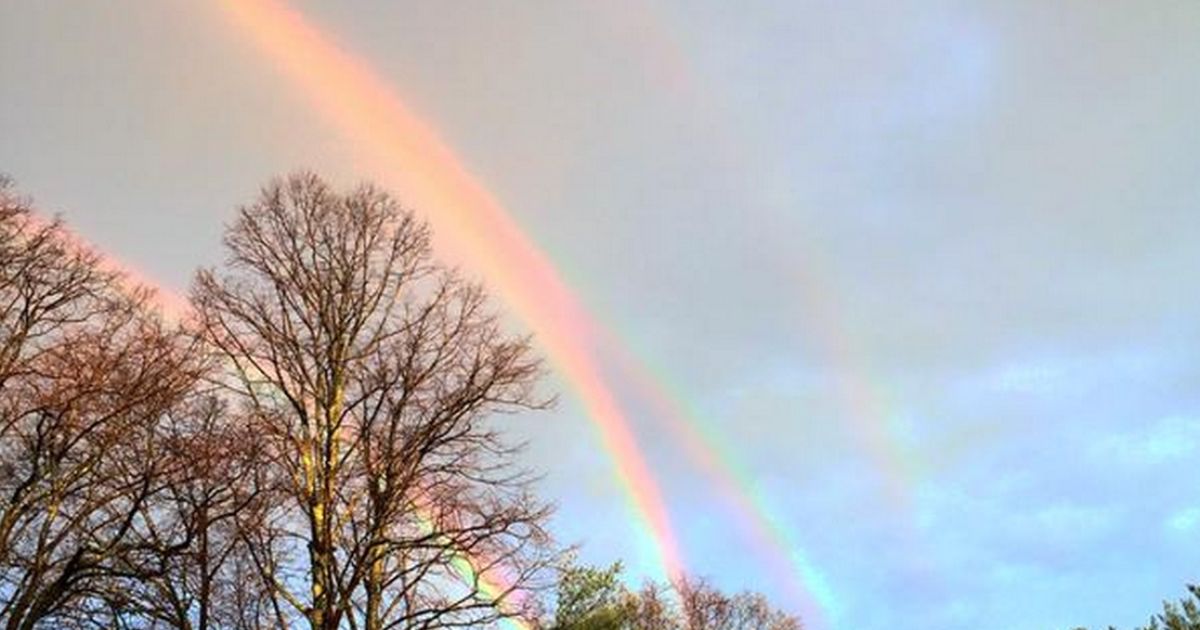 Foremost's tweet image. PHOTO: 4 rainbows. Very cool site to see! on.wzzm.com/1J73MQm