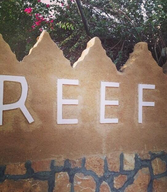 ReefCompound's tweet image. 