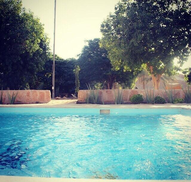 ReefCompound's tweet image. 