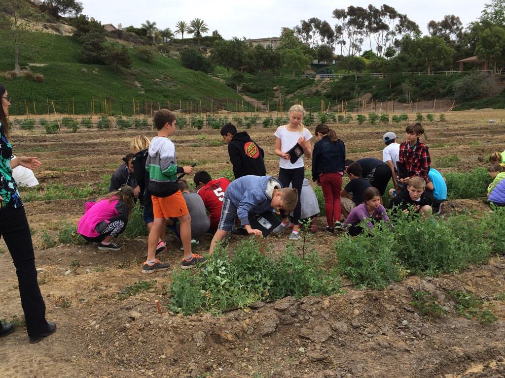 EUSDTBaird's tweet photo. #EUSDFarmLab First group of students out exploring & designing at FarmLab. http://t.co/i5VTrfIFpM