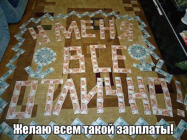 pipsov's tweet image. 