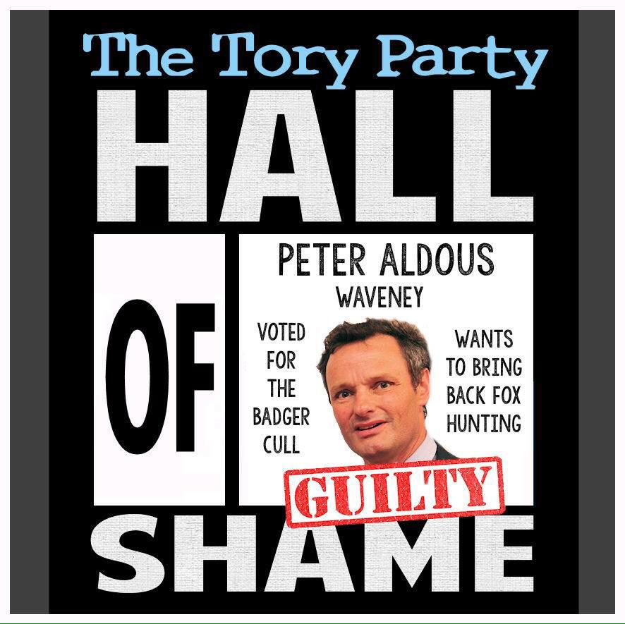 ally_wsm's tweet photo. Good people of #Waveney if you care about wildlife do not vote4 Peter Aldous #cullthetories #GE2015 http://t.co/O1qAEwUWjR