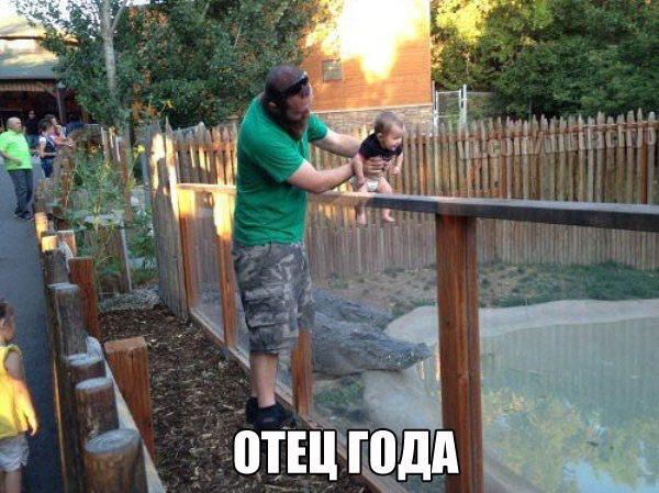 pipsov's tweet image. 