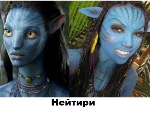 pipsov's tweet image. 