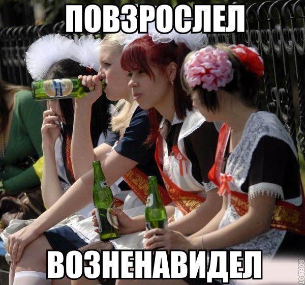 pipsov's tweet image. 