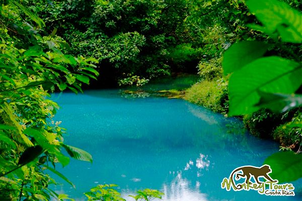 CRMonkeyTours's tweet photo. @Sihpromatum @RTWBarefoot A1 Yes! #RioCeleste, foothills of #TenorioVolcano #paradise http://t.co/KkDQwllAj2 #TRLT http://t.co/8XiHV5gVLH