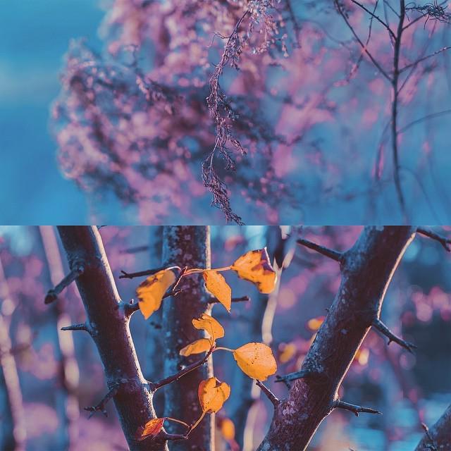 _Beyondcreative's tweet image. More photography! Exploring the nuances of nature. Come see yourself through the lens. Lin… ift.tt/1EoHB79