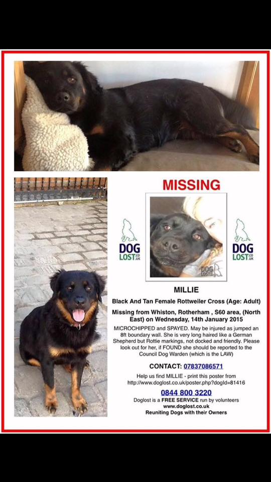 WCockapoo's tweet image. Plz RT and follow @Getmilliehome #findmillie