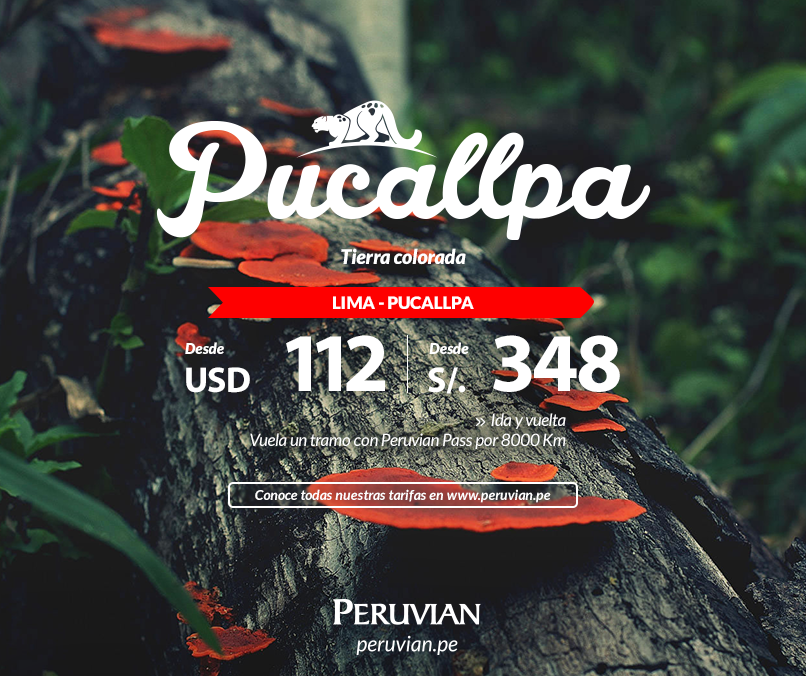 PeruvianAir_NA's tweet photo. Peru is a #magical land. We'll help you fall in #love. #travel #Peru #amazon Airline #new #myfirsttweet http://t.co/5PpKa9voI4