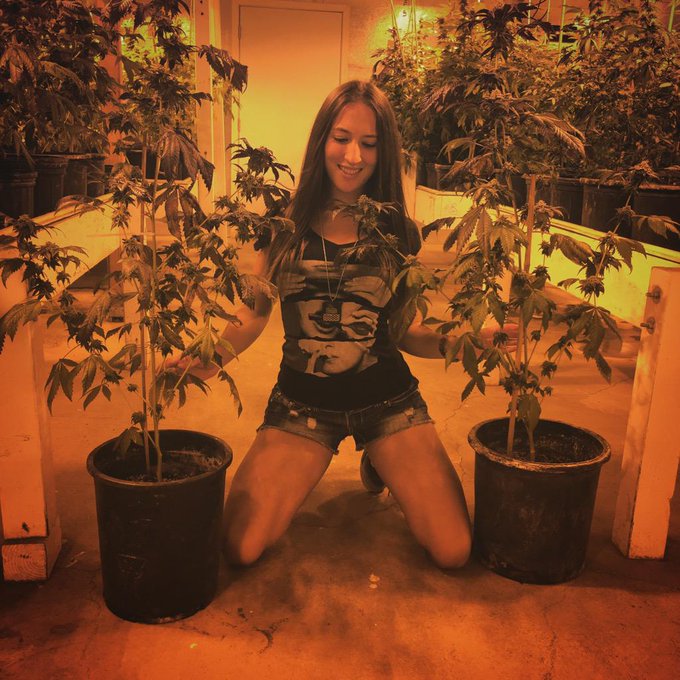 NorCal Dreamin #420 http://t.co/nysTQm8JHT<a href="/tag/bahamas"class="tags"><span>#bahamas</span></a><a href="/tag/swing"class="tags"><span>#swing</span></a><a href="/tag/likethepics"class="tags"><span>#likethepics</span></a>