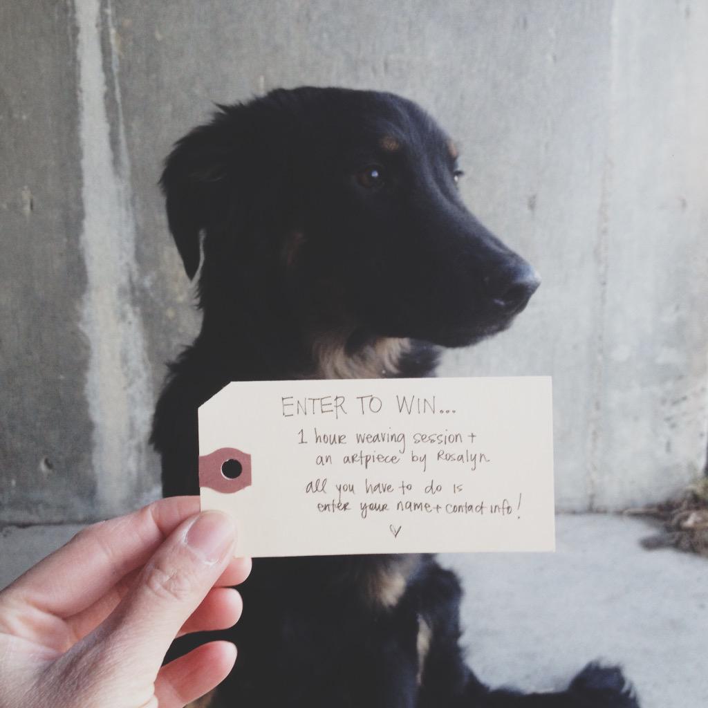 OPEN HOUSE WINNER!!!! rosalynfaustino.com/news/2015/4/21…