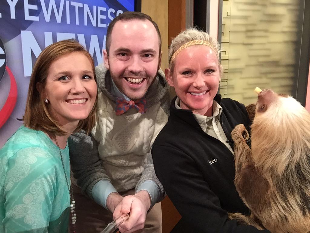mike_marcotte's tweet photo. Chloe the sloth from @ComoZoo stopped by work today! @ComoFriends @KSTP @KelliHanson1 http://t.co/5oWB6EPeFW