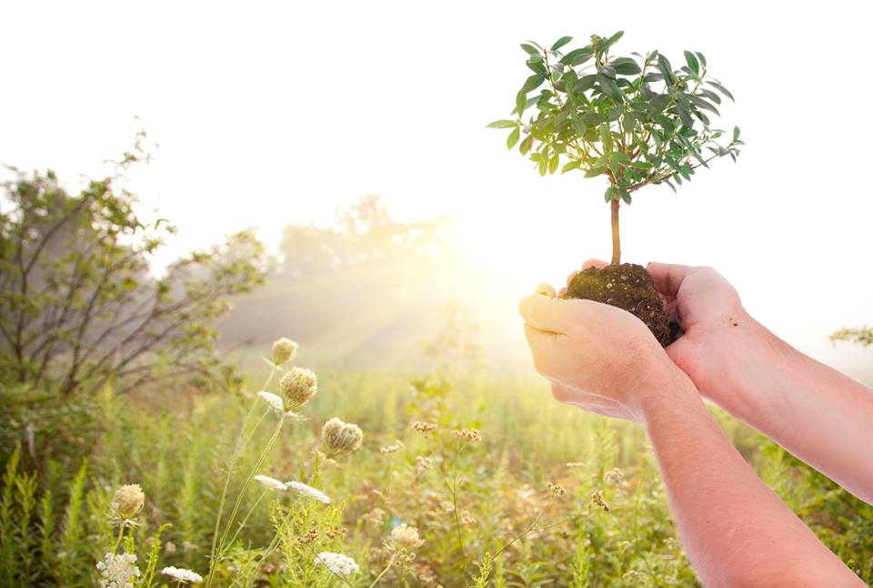 SDFoodBank's tweet photo. Celebrate #EarthDay using tips from our Nutrition & Wellness Educator, Jenna! #NutritionNotes http://t.co/GC15xIQ1KR http://t.co/iO2qQIHGdy
