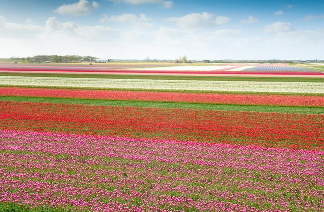 fodorstravel's tweet image. 10 budget-friendly #spring getaways: fodrs.co/LQxqE There's no better time of year to find bargains.  #ttot