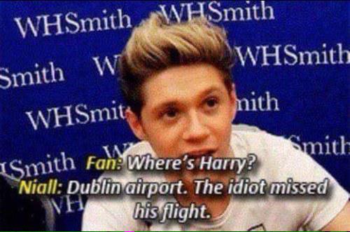 MarlyMakesMoney's tweet photo. when Niall lost his chill with Harry  #2013FANDOMTHROWBACK http://t.co/nPPZJivEv9